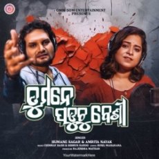 Tu Mane Paduchu Besi